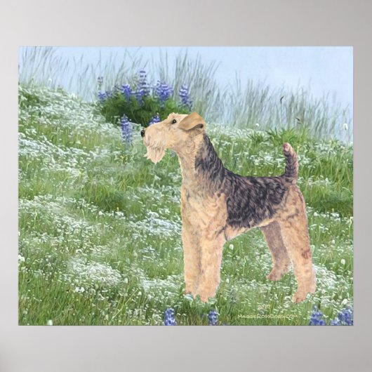 Poster Fleurs de campagne (Devant)