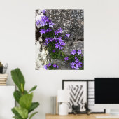 Poster Fleurs de Campanula poussant sur un mur (Bureau à domicile)