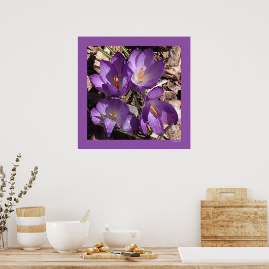 Poster Fleurs de canapés violets (Cuisine)
