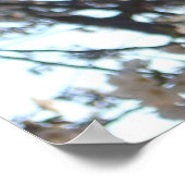 Poster Fleurs de cerises du soir I Printemps Floral (Coin)