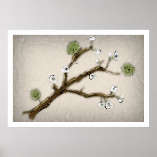 Poster Fleurs de cerisier