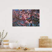 Poster Fleurs de cerisier et fleurs de printemps roses d' (Cuisine)
