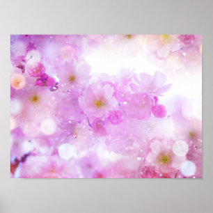 Poster Fleurs de cerisier rose en photo
