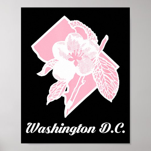 Poster Fleurs de cerisier Sakura sur le district de Washi (Devant)