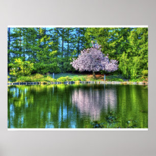 Poster Fleurs de cerisiers