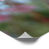 Poster Fleurs de cerisiers (Coin)