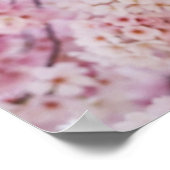 Poster Fleurs de cerisiers (Coin)
