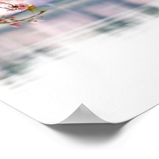 Poster Fleurs de cerisiers (Coin)