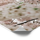 Poster Fleurs de cerisiers 1 (Coin)