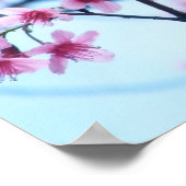 Poster Fleurs de cerisiers - B (Coin)