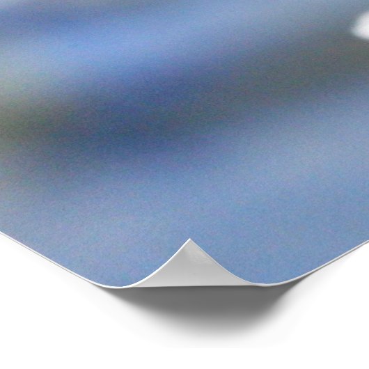 Poster Fleurs de cerisiers blancs (Coin)