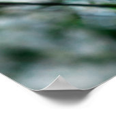 Poster Fleurs de cerisiers blancs Feuilles verts (Coin)