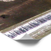 Poster Fleurs de cerisiers par le ruisseau Mill (Coin)