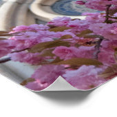 Poster Fleurs de cerisiers roses (Coin)
