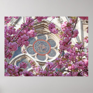 Poster Fleurs de cerisiers roses