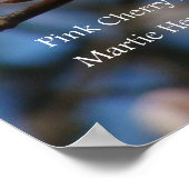 Poster Fleurs de cerisiers roses (Coin)