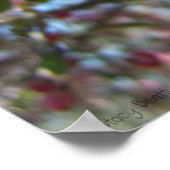 Poster Fleurs de cerisiers roses (Coin)