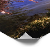 Poster Fleurs de cerisiers sur un étang (Coin)