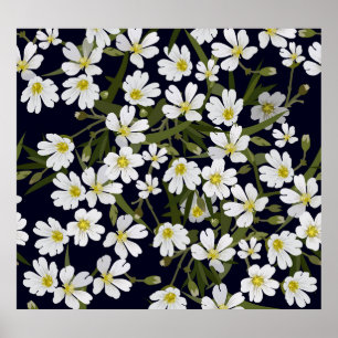 Poster Fleurs de champs blancs : motif vintage.