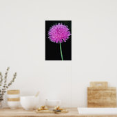 Poster Fleurs de chardon du Texas (Cirsium texanum) (Cuisine)