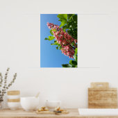 Poster Fleurs de châtaigniers en fleurs au printemps (Cuisine)