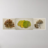 Poster fleurs de chute tryptich (Devant)