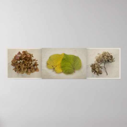 Poster fleurs de chute tryptich (Devant)