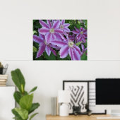 POSTER - Fleurs de Clematis au printemps au Royaum (Bureau à domicile)
