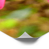 Poster Fleurs de Clintonia rouges aux séquoias (Coin)