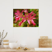 Poster Fleurs de Clintonia rouges aux séquoias (Cuisine)