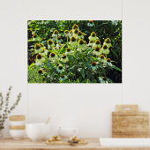 Poster Fleurs de cônes, Bute Park, Cardiff, Pays de Galle (Cuisine)