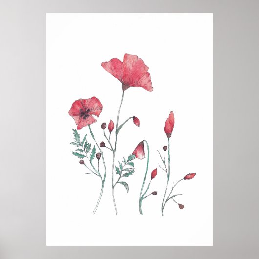Poster Fleurs de coquelicot aquarelle (Devant)