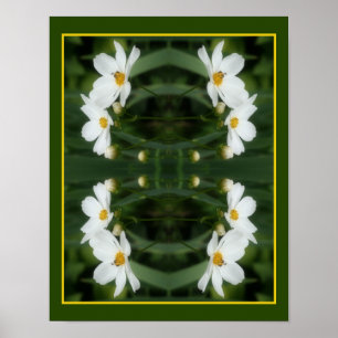 Poster Fleurs De Cosmos Blanc Et Abeille Abstraite