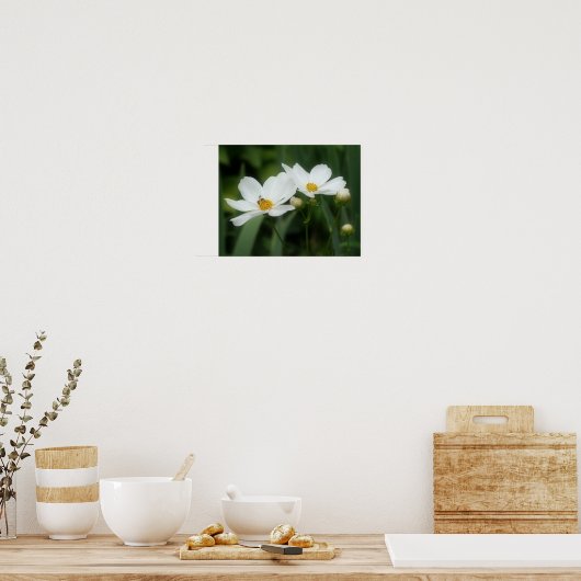 Poster Fleurs De Cosmos Blanches Et Abeilles (Cuisine)