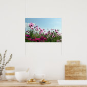 Poster Fleurs de Cosmos du Japon (Cuisine)
