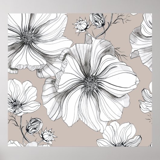 Poster Fleurs de Cosmos : Motif de Dessin Botanique. (Devant)