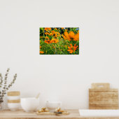 Poster Fleurs de Cosmos orange (Cuisine)