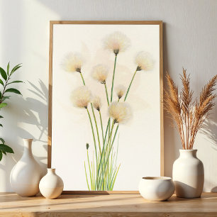 Poster Fleurs de coton