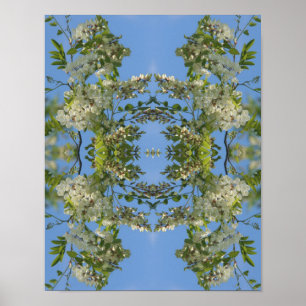 Poster Fleurs de Criquet blanc Abstraites