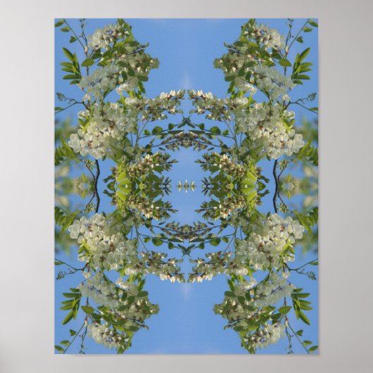 Poster Fleurs de Criquet blanc Abstraites (Devant)