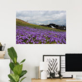 Poster Fleurs de crocus à Velika Planina, Slovénie (Bureau à domicile)