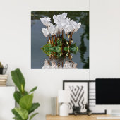 Poster Fleurs de cyclamen blanc dans l'eau (Bureau à domicile)