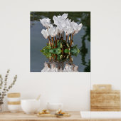 Poster Fleurs de cyclamen blanc dans l'eau (Cuisine)