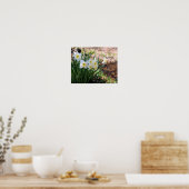 Poster Fleurs De Daffodiles Blanches Par Brook (Cuisine)