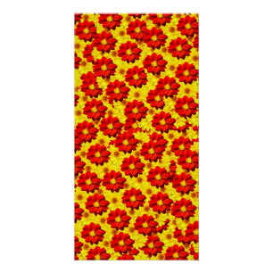 Poster Fleurs de dahlia rouges et jaunes