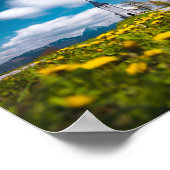 Poster Fleurs de Dandelion à l'église st primus Jamnik Sl (Coin)