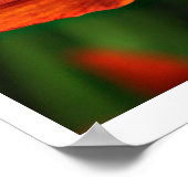 Poster Fleurs de Dieu (Coin)