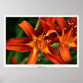 Poster Fleurs de Dieu (Devant)