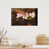 Poster Fleurs de Dogwood Rose (Cuisine)