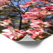 Poster Fleurs de Dogwood Rose (Coin)